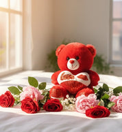 Red Love Teddy Bear with Heart Cushion