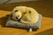 Sleeping Cat Plush Toy with Sound