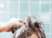 Touch Me - Black Sesame Shampoo